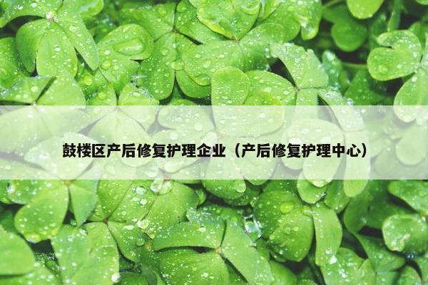 鼓楼区产后修复护理企业（产后修复护理中心）