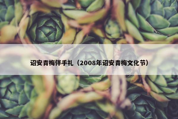 诏安青梅伴手礼（2008年诏安青梅文化节）