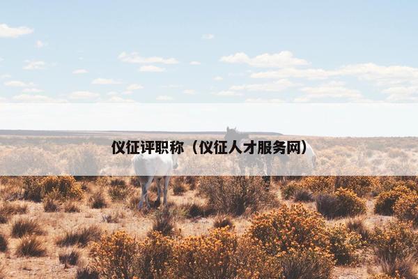 仪征评职称（仪征人才服务网）