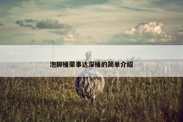 泡脚桶荣事达深桶的简单介绍