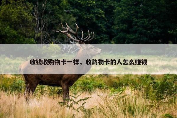 收钱收购物卡一样，收购物卡的人怎么赚钱