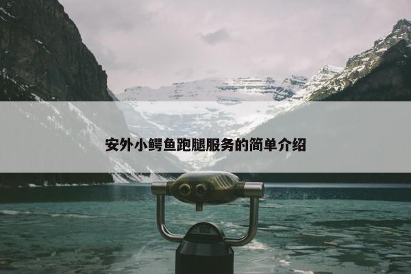 安外小鳄鱼跑腿服务的简单介绍