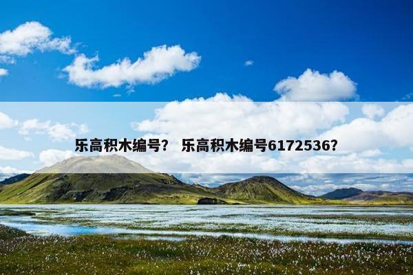 乐高积木编号？ 乐高积木编号6172536？