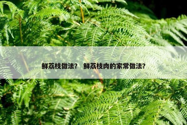 鲜荔枝做法？ 鲜荔枝肉的家常做法？