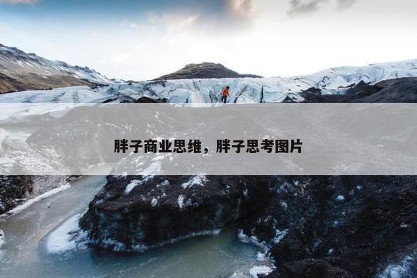 胖子商业思维，胖子思考图片