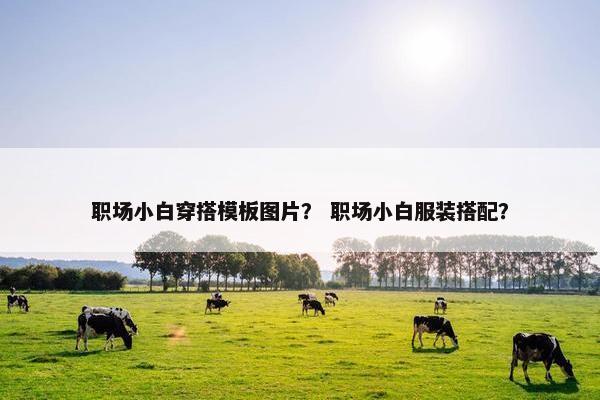 职场小白穿搭模板图片？ 职场小白服装搭配？