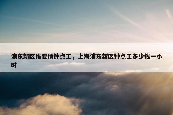 浦东新区谁要请钟点工，上海浦东新区钟点工多少钱一小时