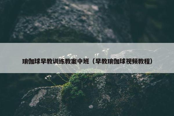 瑜伽球早教训练教案中班（早教瑜伽球视频教程）