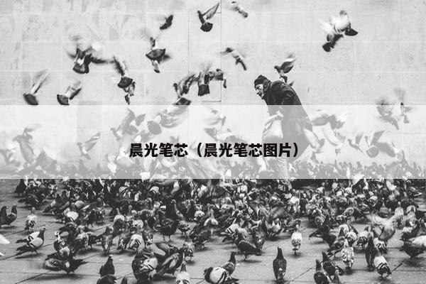 晨光笔芯（晨光笔芯图片）