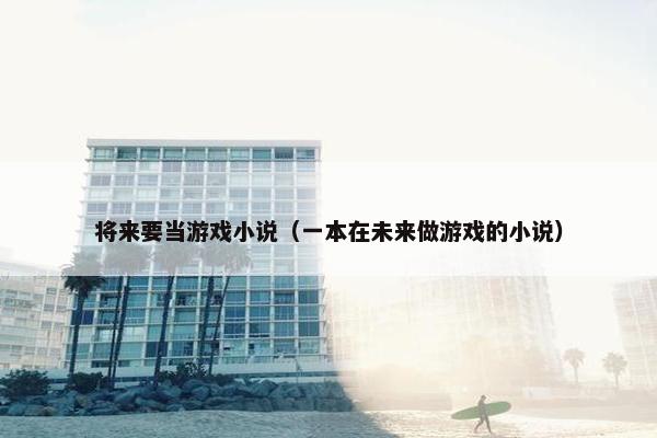 将来要当游戏小说（一本在未来做游戏的小说）