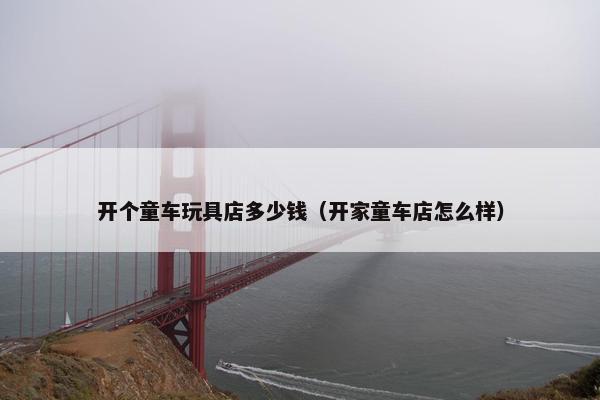 开个童车玩具店多少钱（开家童车店怎么样）