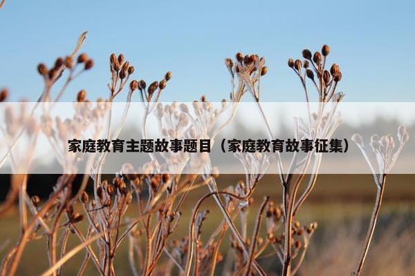 家庭教育主题故事题目（家庭教育故事征集）
