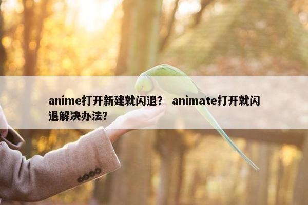 anime打开新建就闪退？ animate打开就闪退解决办法？