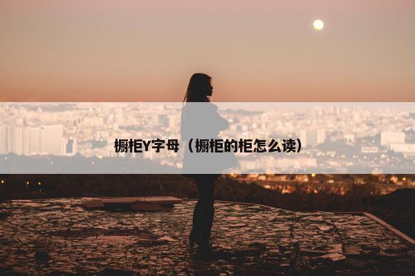 橱柜Y字母（橱柜的柜怎么读）
