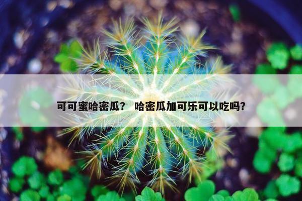 可可蜜哈密瓜？ 哈密瓜加可乐可以吃吗？