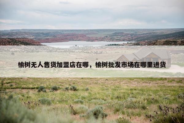 榆树无人售货加盟店在哪，榆树批发市场在哪里进货