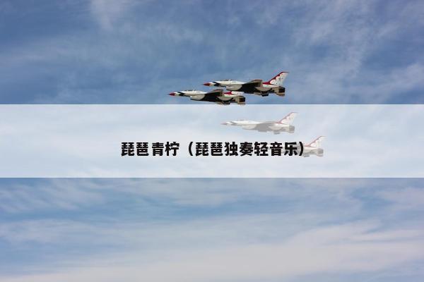 琵琶青柠（琵琶独奏轻音乐）