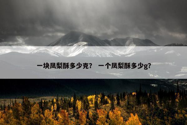 一块凤梨酥多少克？ 一个凤梨酥多少g？