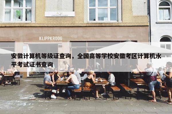 安徽计算机等级证查询，全国高等学校安徽考区计算机水平考试证书查询