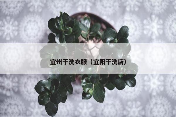 宜州干洗衣服（宜阳干洗店）