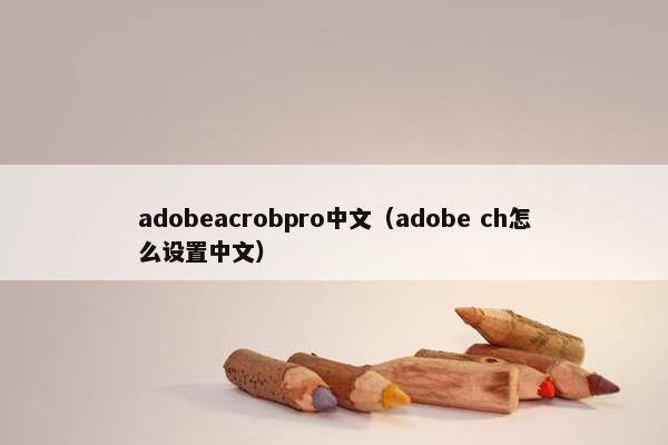 adobeacrobpro中文（adobe ch怎么设置中文）