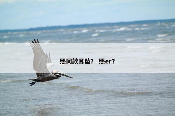 熙同款耳坠？ 熙er？