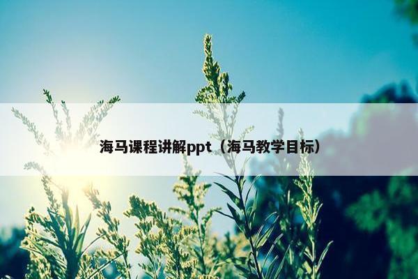 海马课程讲解ppt（海马教学目标）
