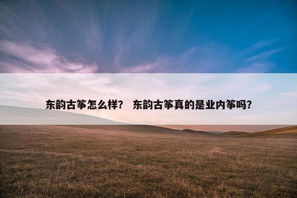 东韵古筝怎么样？ 东韵古筝真的是业内筝吗？