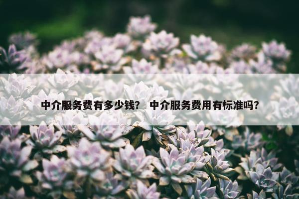 中介服务费有多少钱？ 中介服务费用有标准吗？