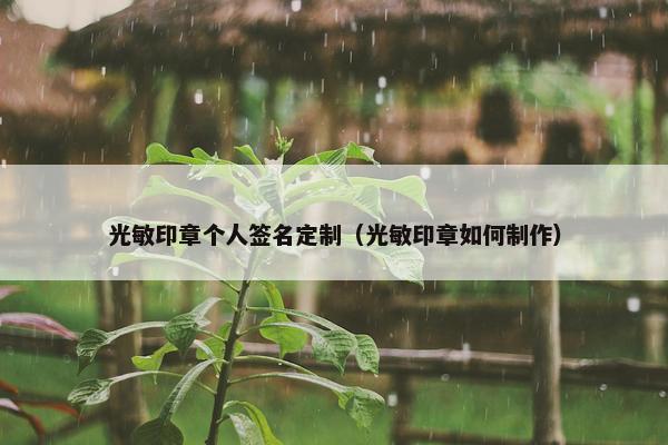 光敏印章个人签名定制（光敏印章如何制作）