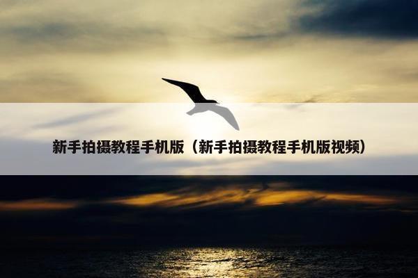 新手拍摄教程手机版（新手拍摄教程手机版视频）