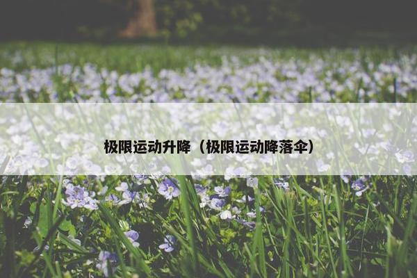 极限运动升降（极限运动降落伞）