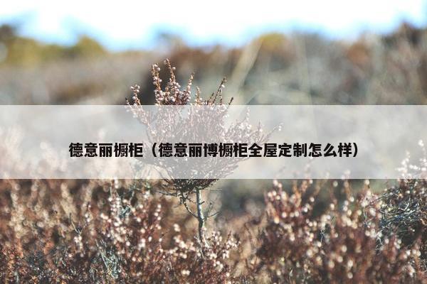 德意丽橱柜（德意丽博橱柜全屋定制怎么样）