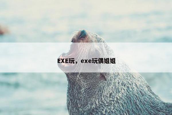 EXE玩，exe玩偶姐姐