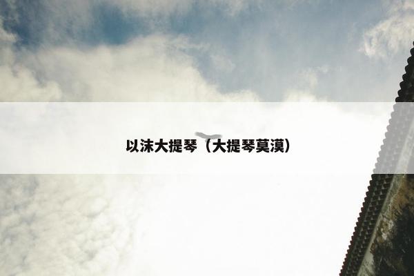 以沫大提琴（大提琴莫漠）