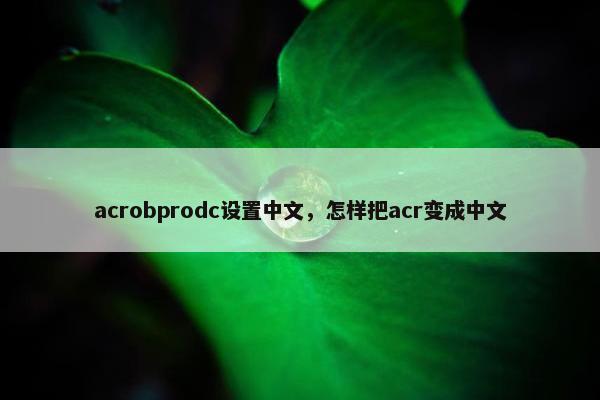 acrobprodc设置中文，怎样把acr变成中文