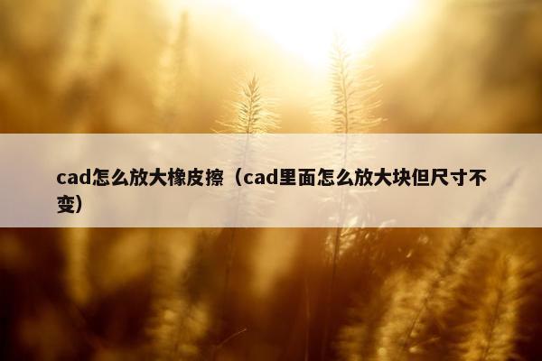 cad怎么放大橡皮擦（cad里面怎么放大块但尺寸不变）