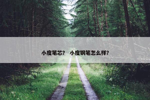 小度笔芯？ 小度钢笔怎么样？