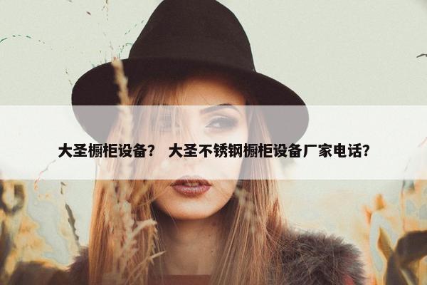 大圣橱柜设备？ 大圣不锈钢橱柜设备厂家电话？