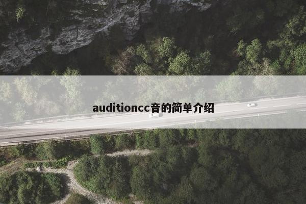 auditioncc音的简单介绍