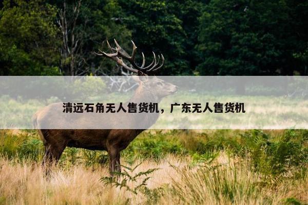 清远石角无人售货机，广东无人售货机