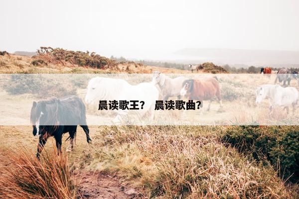 晨读歌王？ 晨读歌曲？