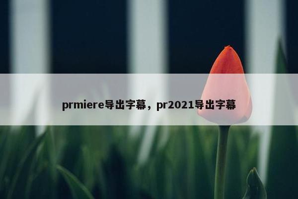 prmiere导出字幕，pr2021导出字幕