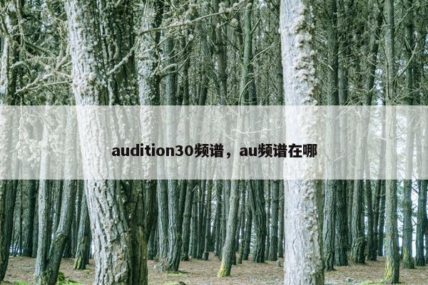 audition30频谱，au频谱在哪