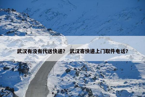 武汉有没有代送快递？ 武汉寄快递上门取件电话？