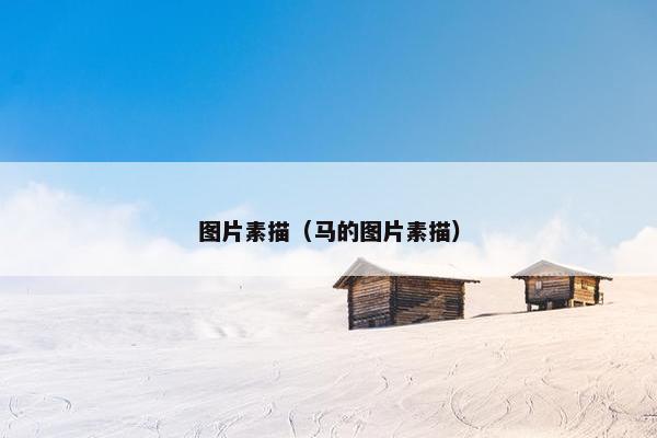 图片素描（马的图片素描）
