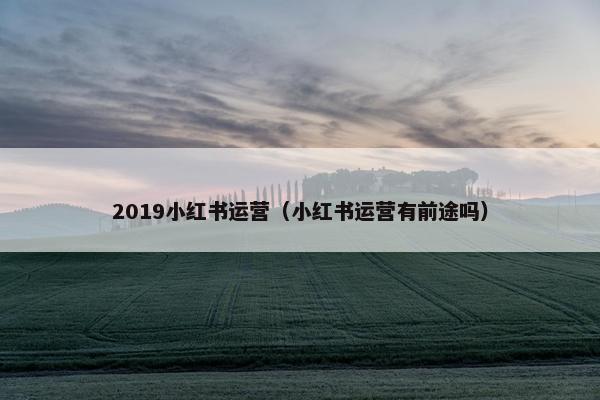 2019小红书运营(小红书运营有前途吗) 2019小红书运营(小红书运营有前途吗)