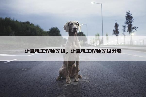 计算机工程师等级,计算机工程师等级分类 计算机工程师等级,计算机工程师等级分类