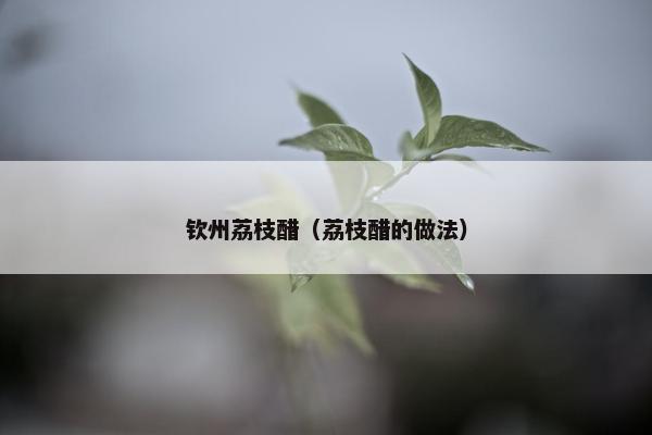 钦州荔枝醋（荔枝醋的做法）