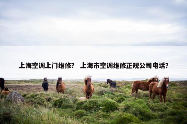 上海空调上门维修？ 上海市空调维修正规公司电话？